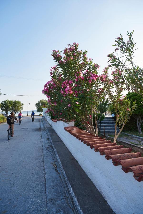 Kalloni Bay Скала Калонис Екстериор снимка